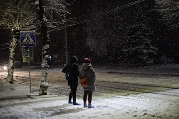 two figures of people in snow fall near the road