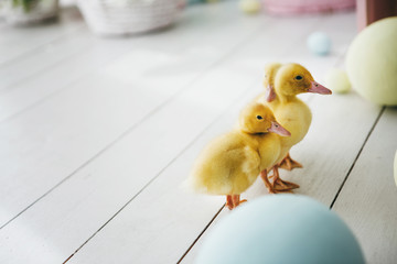 Little ducks on a wooden background.Easter topic.