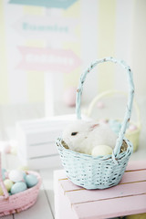 Fototapeta na wymiar White easter bunny in blue basket.Easter topic.