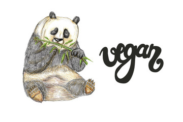 raster funny illustration of a sketchy hand drawn sad panda eating bamboo augmented with Vegan sign.
