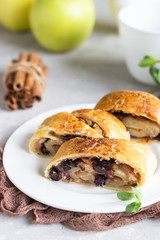 Traditional apple strudel with raisin and cinnamon on grey concrete background. Copy space.
