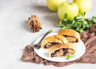 Traditional apple strudel with raisin and cinnamon on grey concrete background. Copy space.