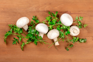 Obraz na płótnie Canvas Champignon mushrooms, shot from above on a dark rustic wooden background with fresh parsley leaves and copy space
