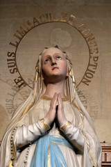 I Am the Immaculate Conception, Our Lady of Lourdes, statue in the St Francis Xavier's Church in...