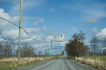 3 cessna in formation