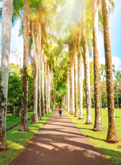 young girl walking in a driveway of palms in pamplemousse