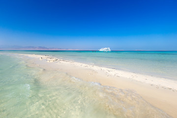 Fototapeta premium tropical Maldives island with white sandy beach and sea