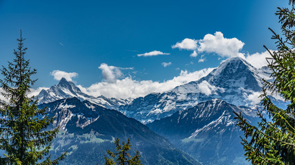 Obraz premium Switzerland, wonderful view on snow Alps near Beatenberg village