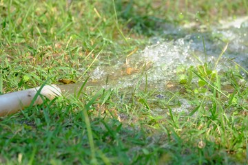 In selective focus of water flowing from a garden hose on a green grass field with sun light 