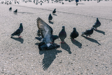 Fototapety na wymiar - Fototapeta24.pl