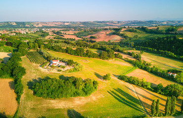 aerial view of countryside agricultural green grassland and wheat fields landscape during summer