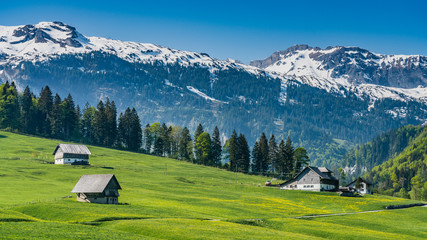 Switzerland, scenic view on Alps and green field