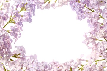Fototapeta na wymiar Lilac branch blossoming flower isolated on white, spring floral.