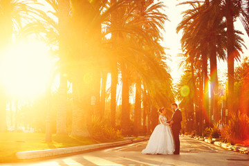 Beautiful wedding couple posing on streets near palm trees