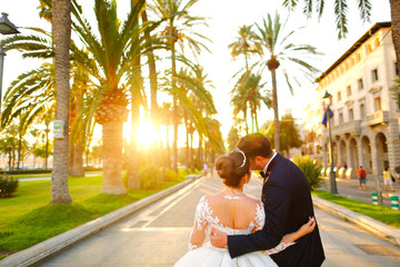 Beautiful wedding couple posing on streets near palm trees