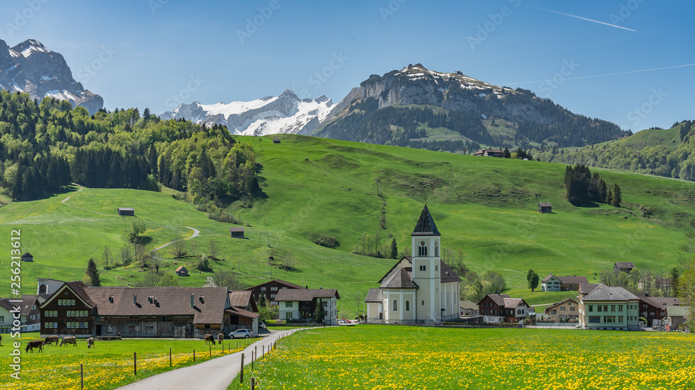 Canvas Prints Switzerland, Green fields of Appenzell valley