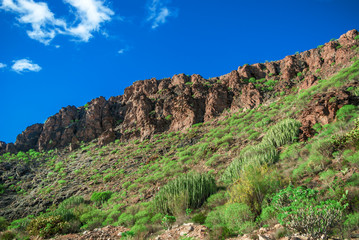 Fototapeta na wymiar Stony cliffs on background blue sky with clouds, green foot