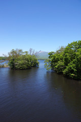 大沼から見る駒ケ岳
