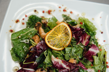 Salad with shrimps and greens on a plate on the table