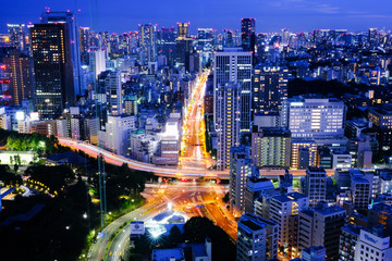 Fototapeta premium Tokyo city at night
