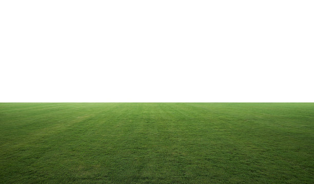 Night lighting beautiful wide green grass field . Include clipping path .