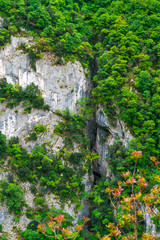 huge crack on a mountain wall covered in trees