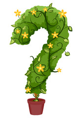 Question Mark Vines Pot Illustration