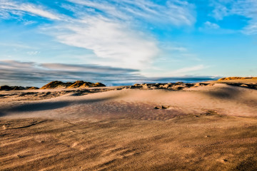 desert in the late afternoon sun