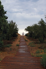 Wooden walkway to the beach a gray day