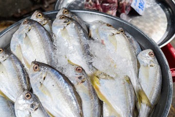 Seafood fish sell in traditional fishery market