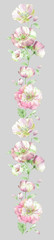 Colorful flower on white background,Big Set watercolor elements