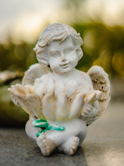 A aged alabaster Angel grave statue on a grave.  The Angel is holding a flower on its lap. 