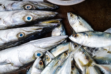 Seafood fish sell in traditional fishery market