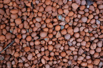 stone  expanded clay background nature pebbles