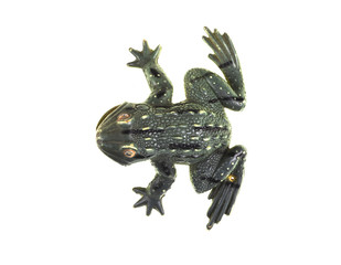 decorative frog for aquarium