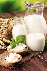 milk products. tasty healthy dairy products on a table. sour cream in a white bowl, cottage cheese bowl, cream in a a bank and milk jar, glass bottle and in a glass