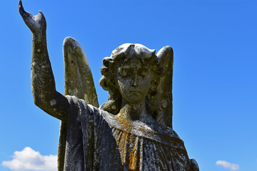 Obraz premium statue of an angel in a cemetery