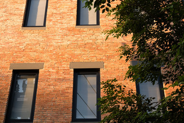 Windows glass on brick wall building with tree