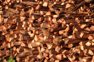 Pile of chopped fire wood prepared for winter season