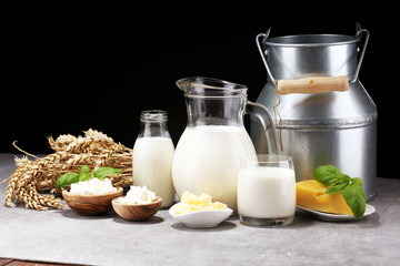 milk products - tasty healthy dairy products and milk jar and cheese