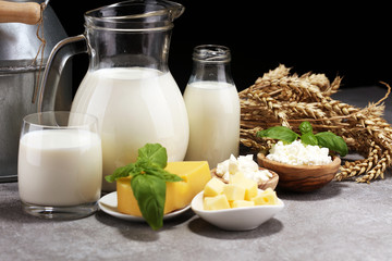 milk products - tasty healthy dairy products and milk jar and cheese