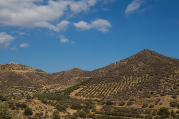 Hills with olive trees, Crete, Greece