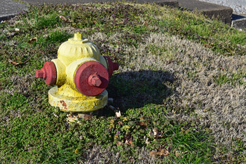 fire hydrant in a small town