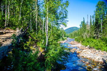 pure mountain river. warm Sunny summer day.