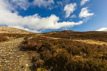 A view of a mountain path under a majestic blue sky and white clouds