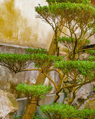 Yuyuan Garden, Shanghai, China