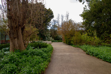 Fototapeta premium view of a garden in Lisbon