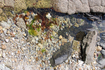 Littoral (Brittany - France)