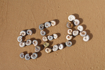 Inscription Sea of ​​small sea shells on the yellow sand of the Sea coast or the ocean shore. 