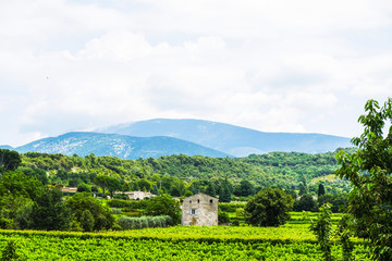 Obraz premium Vineyards and houses on the outskirts of the village Entrechaux that in Provence on a summer day.